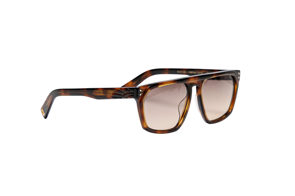 Color_TortBrown