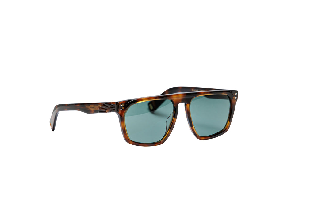 Color_TortGreen